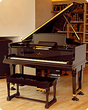 The Player Piano